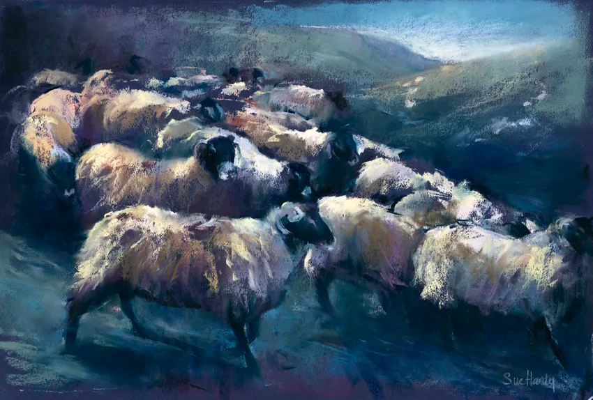 Sue Hardy SGFA