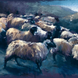 Sue Hardy SGFA