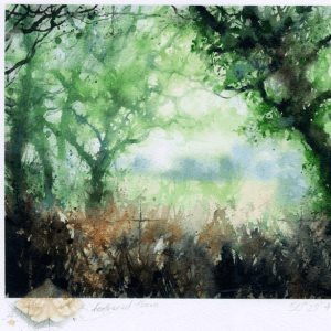 Gary Cook RI SGFA Arborealist
